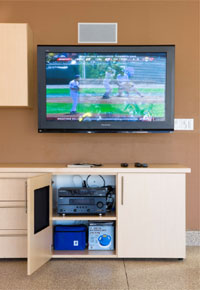 Custom Garage Media Storage Cabinets